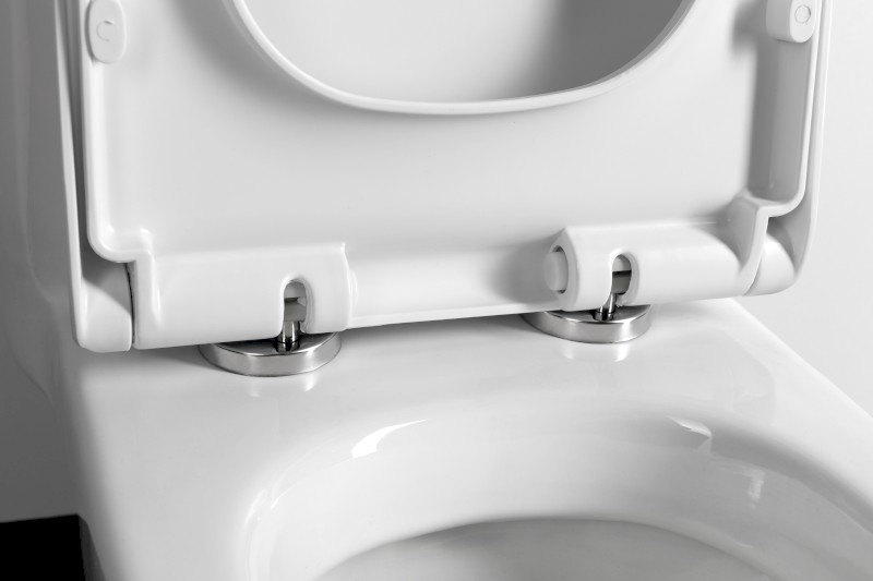 PETIT WC kombi dětské, zadní/spodní odpad, bílá PT520