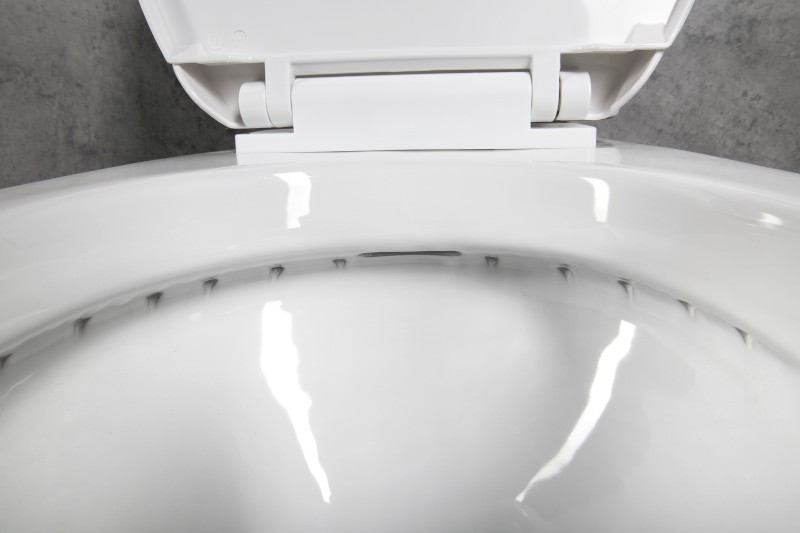 JOSE WC kombi, dvojtlačítko 3/6l, zadní odpad, bílá PS8812