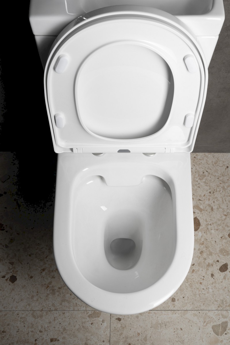 JALTA HYGIE WC kombi s umývátkem, Rimless, spodní/zadní odpad, bílá PB103H